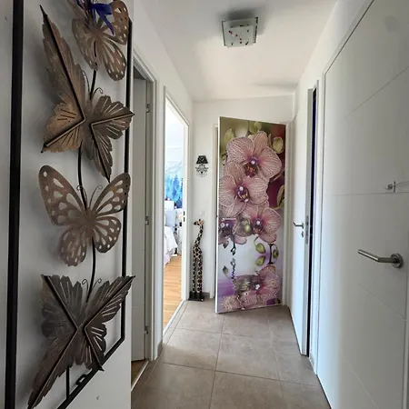 Apartman Nid Zen, Decore, Avec Ascenseur, Elegant & Calme Annecy